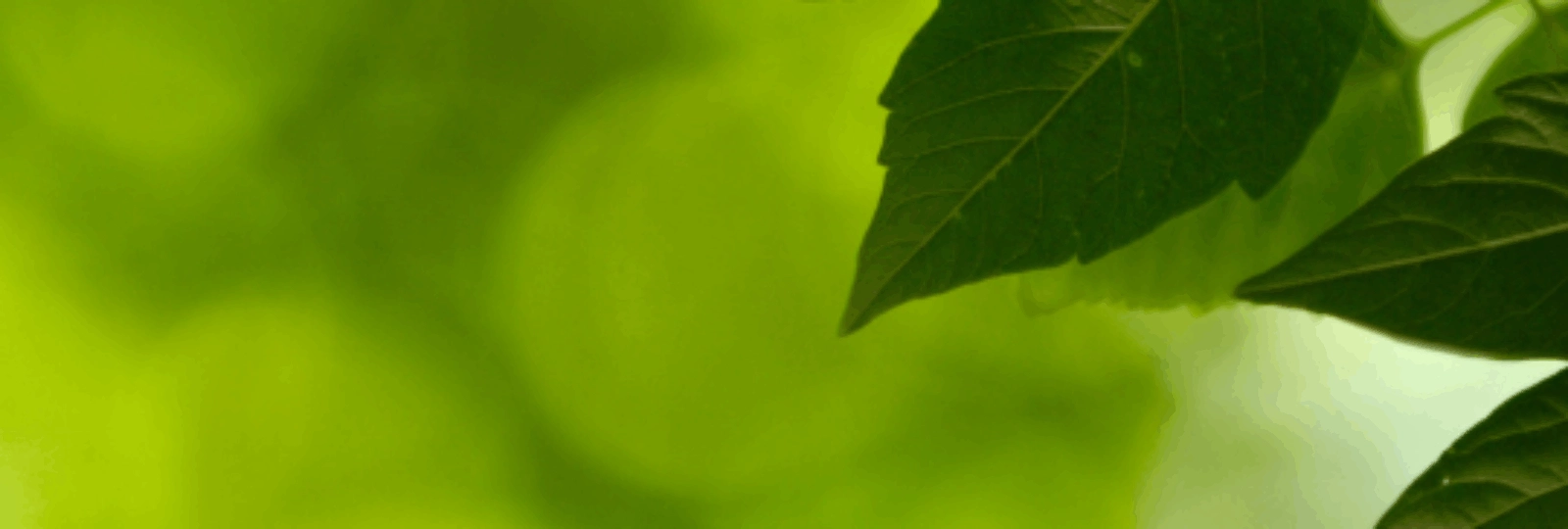 Sobriété énergétique : une enquête entre lieu de vie et travail