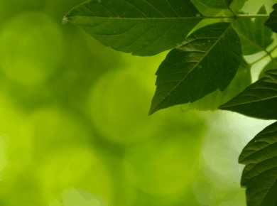 Sobriété énergétique : une enquête entre lieu de vie et travail