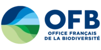 OFB